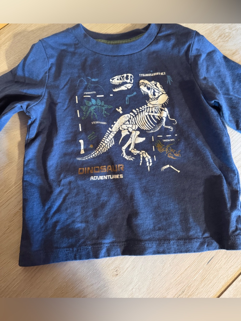 Dinosaur Adventures Navy Graphic Tee 12 Month